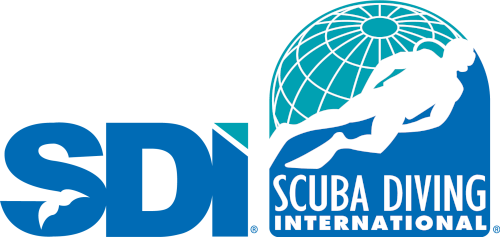 sdi logo 1 500