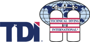 tdi logo